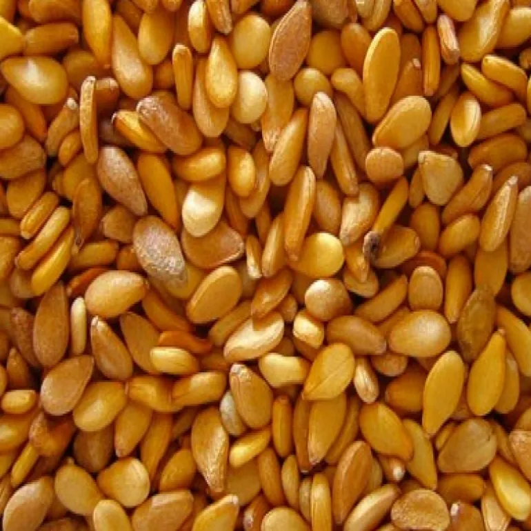 Olio di sesamo bio