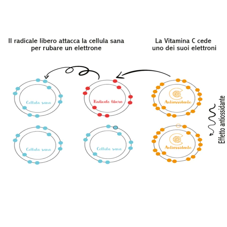 Vitamina C Stabile